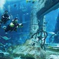 艾玛尔娱乐 - 迪拜水族馆和水下：企鹅幼儿园体验活动