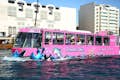 Wonder Bus Dubai is a sea and land amphibious adventure to discover Dubai sightseeing in a wonderful way.
