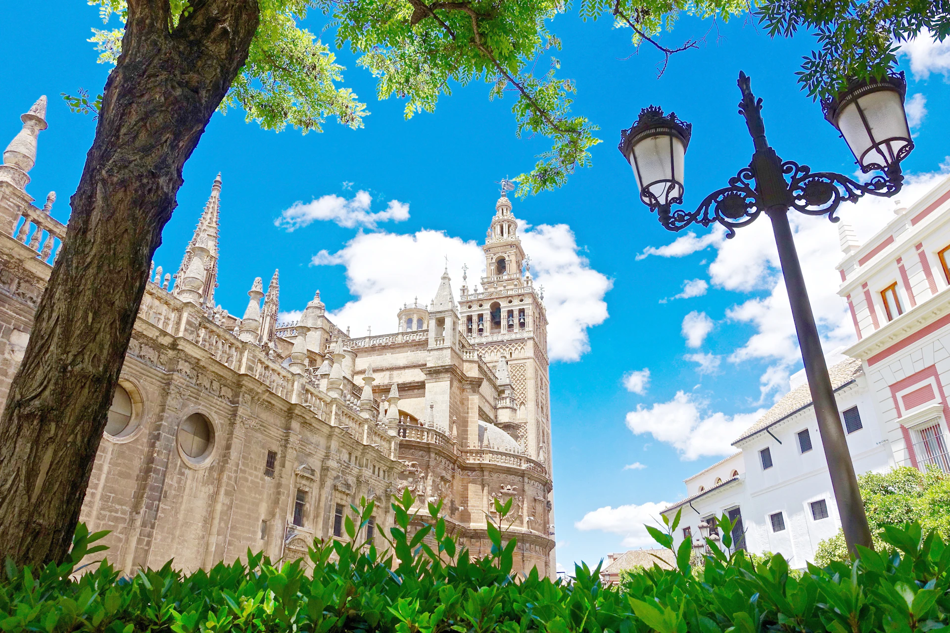 Gothic cathedral with intricate spires, a tall bell tower, nearby street lamp, lush greenery, and a bright blue sky with clouds.