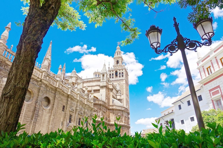 Catedral de Sevilla y La Giralda: Sin colas billete - 0