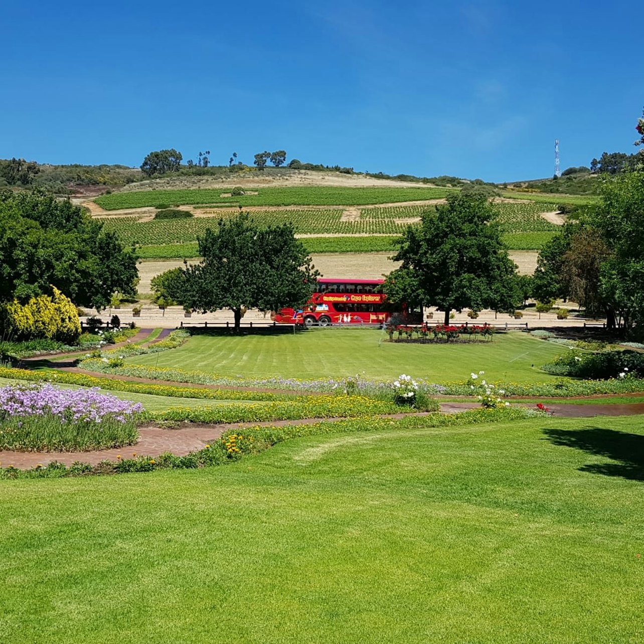 Paarl, Franschhoek, Stellenbosch Region Explorer Wine Tour - Accommodations in Cape Town
