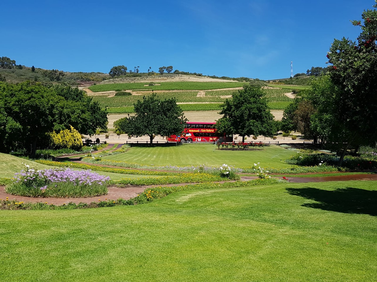 Franschhoek y Stellebosch: Visita guiada y cata de vinos - Alojamientos en Ciudad del Cabo