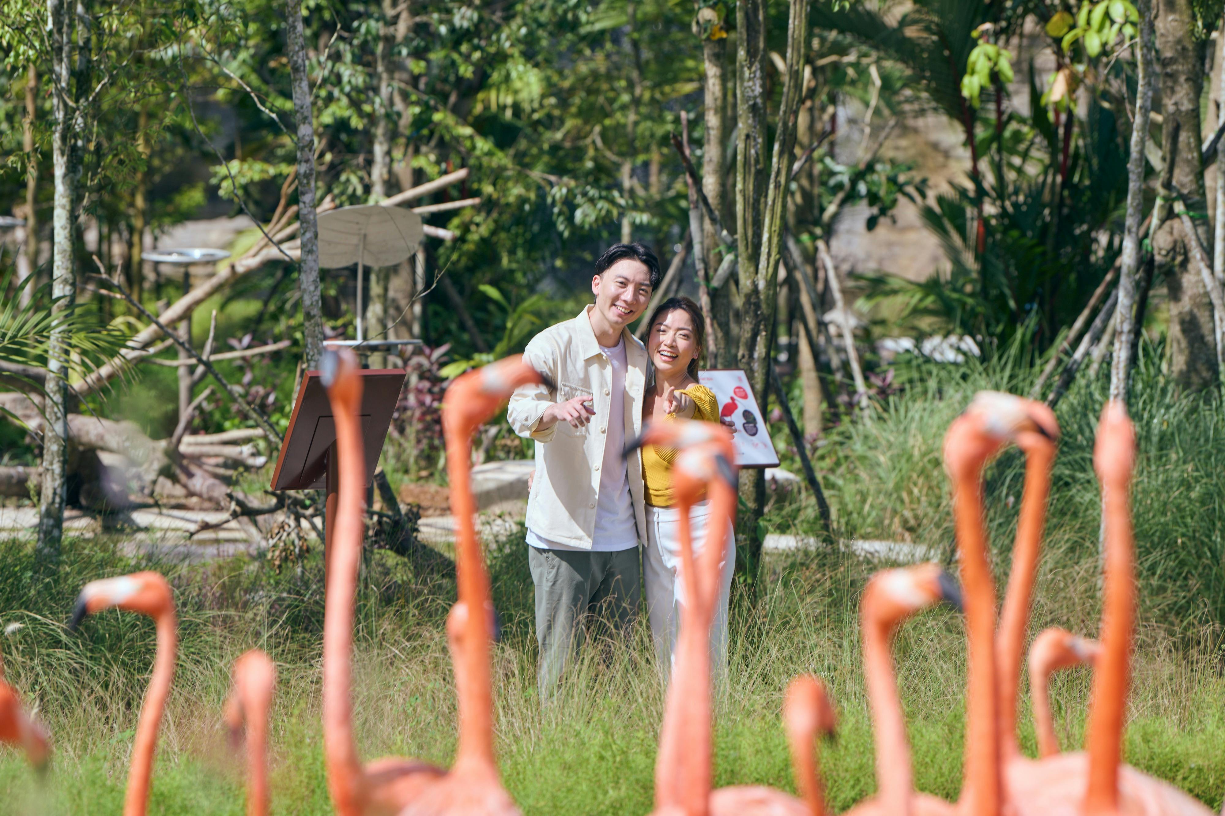 バードパラダイス