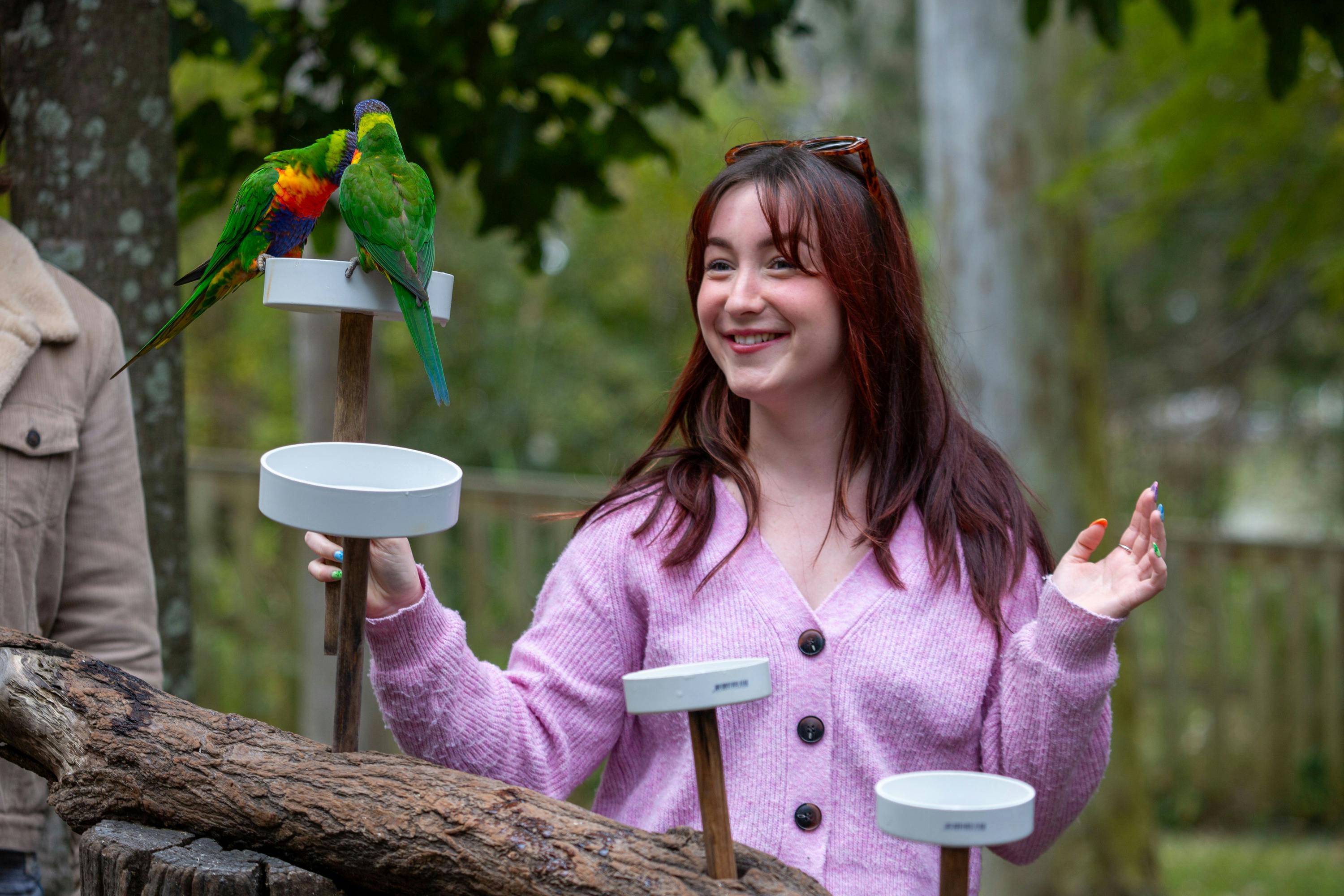 Lone Pine Koala Sanctuary: Entry Ticket - Photo 2