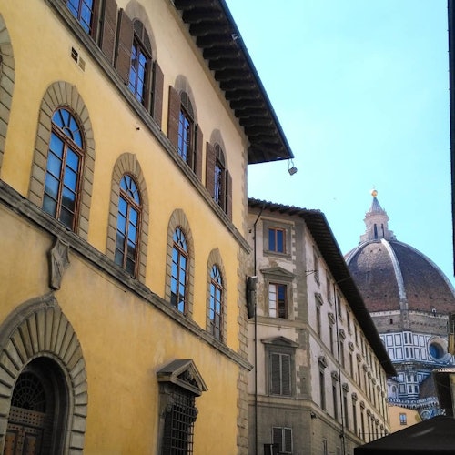 Museo de' Medici