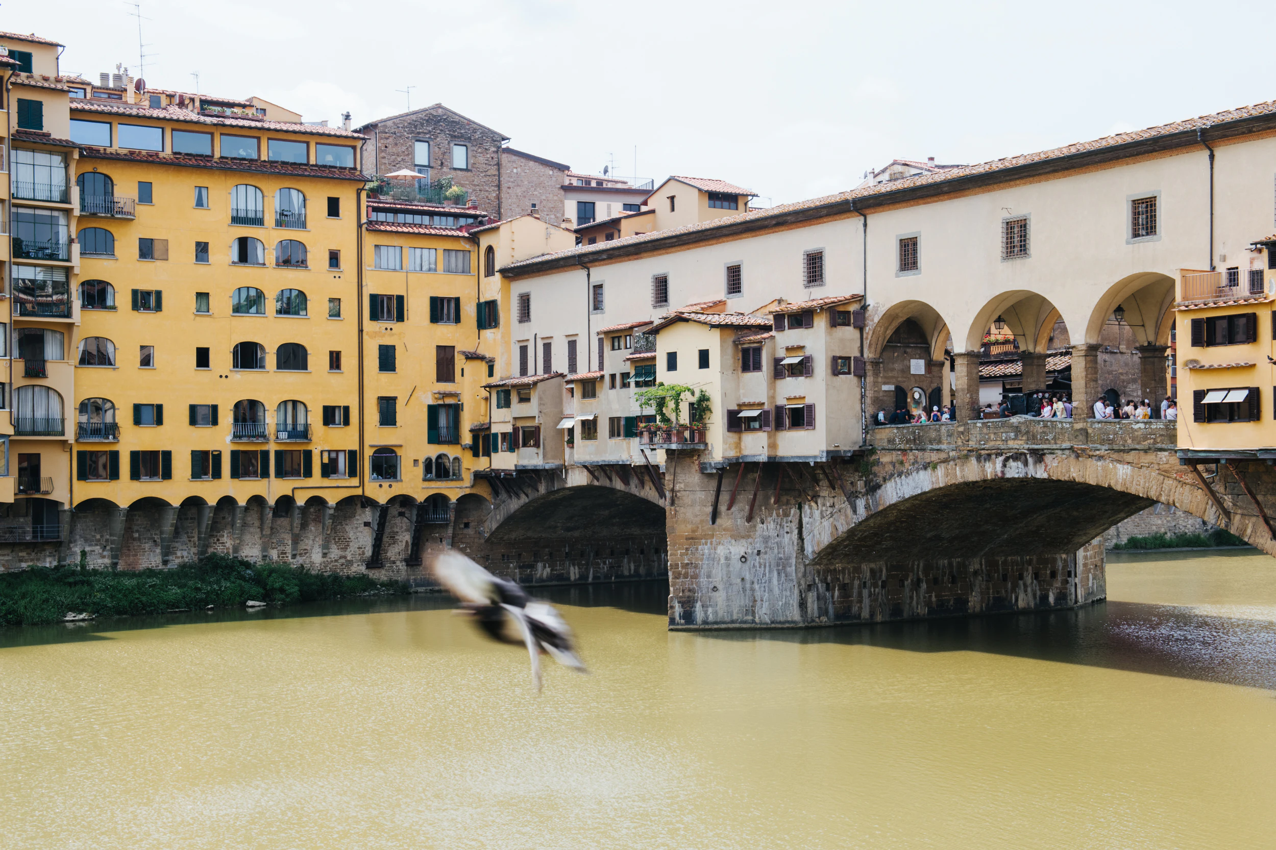 Pisa and Florence: Day Trip from Livorno