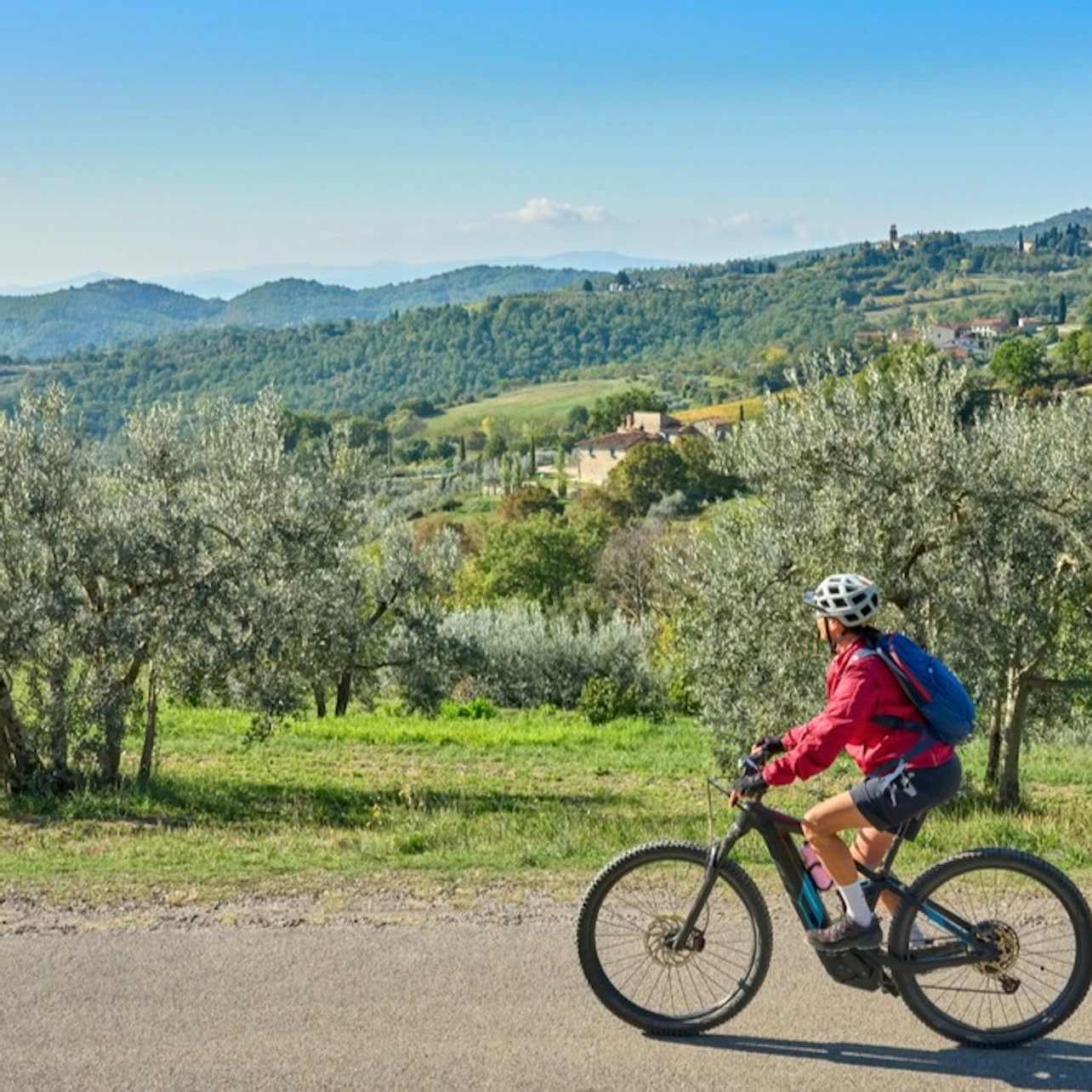 Chianti: Guided E-bike Tour + Lunch + Wine Tasting