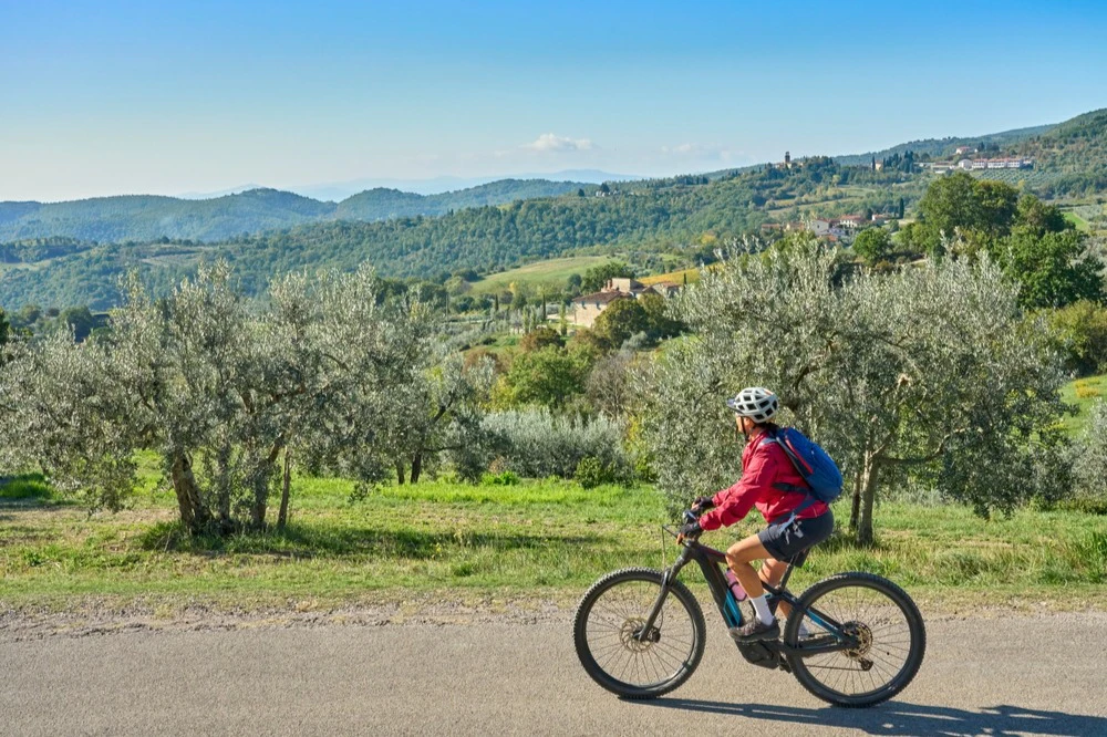 Chianti: Guided E-bike Tour + Lunch + Wine Tasting