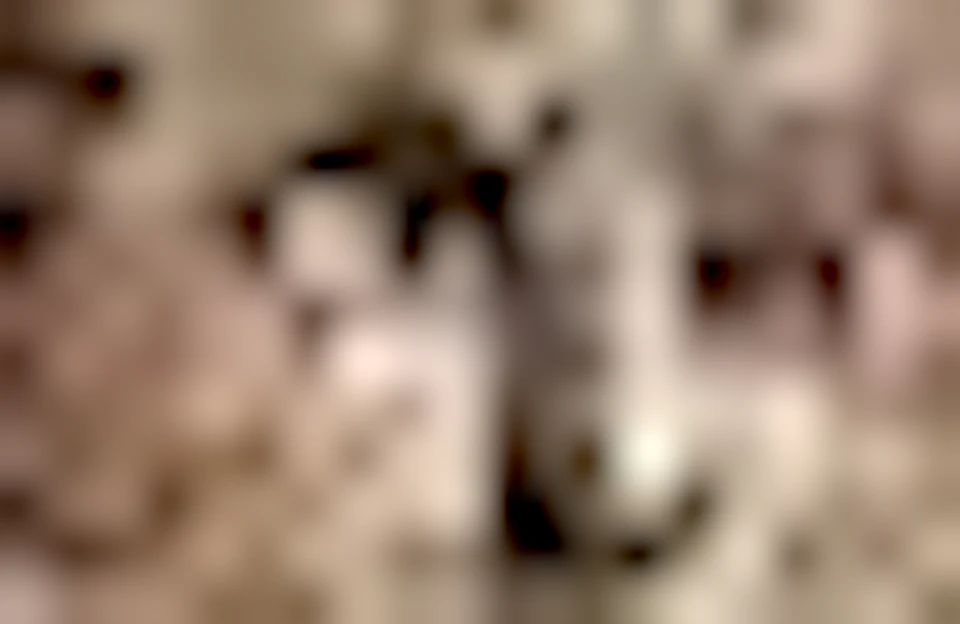 Photo of product