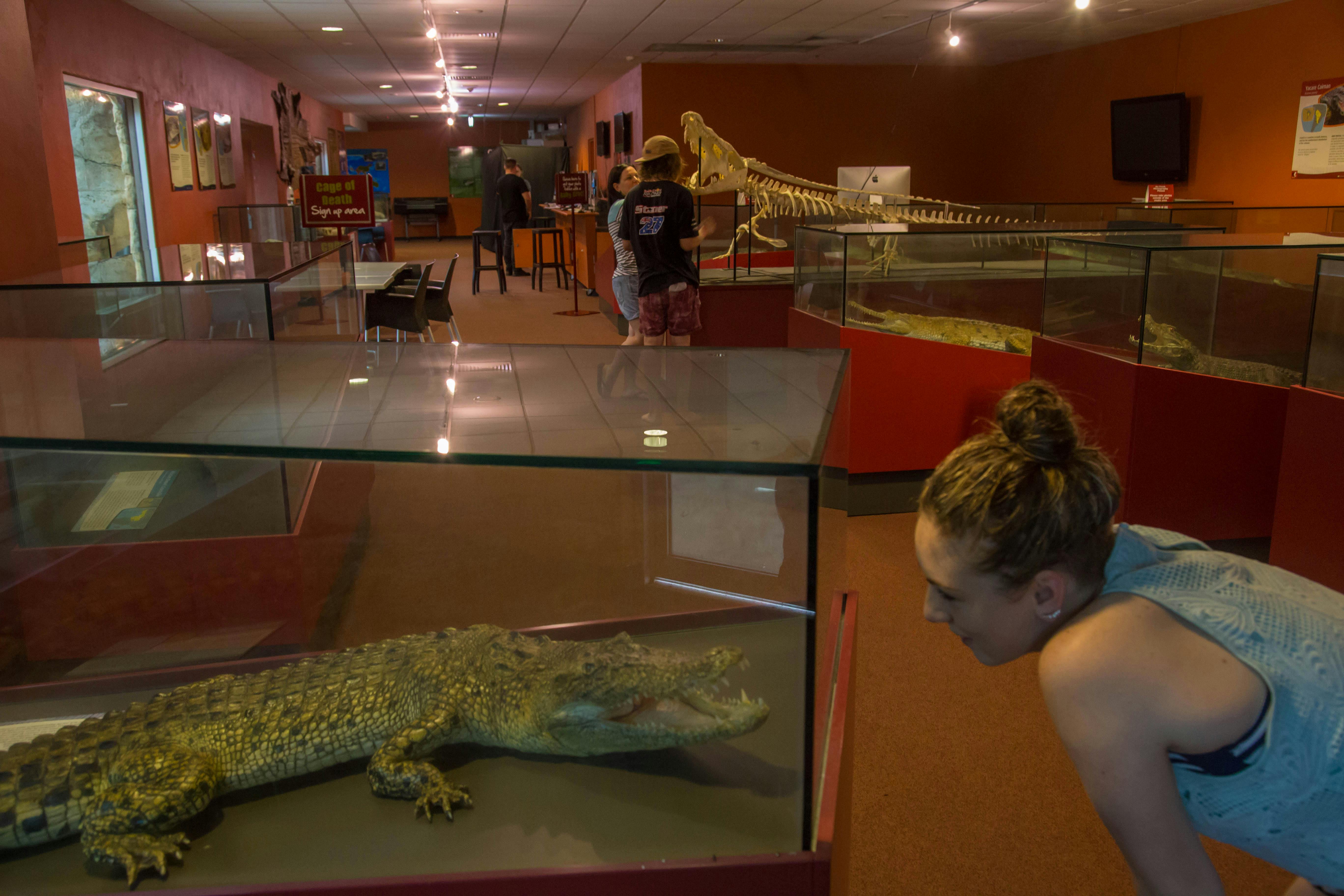 En kvinna observerar en taxidermialligator i ett glasfodral på ett museum; en skelettutställning och andra besökare är i bakgrunden.