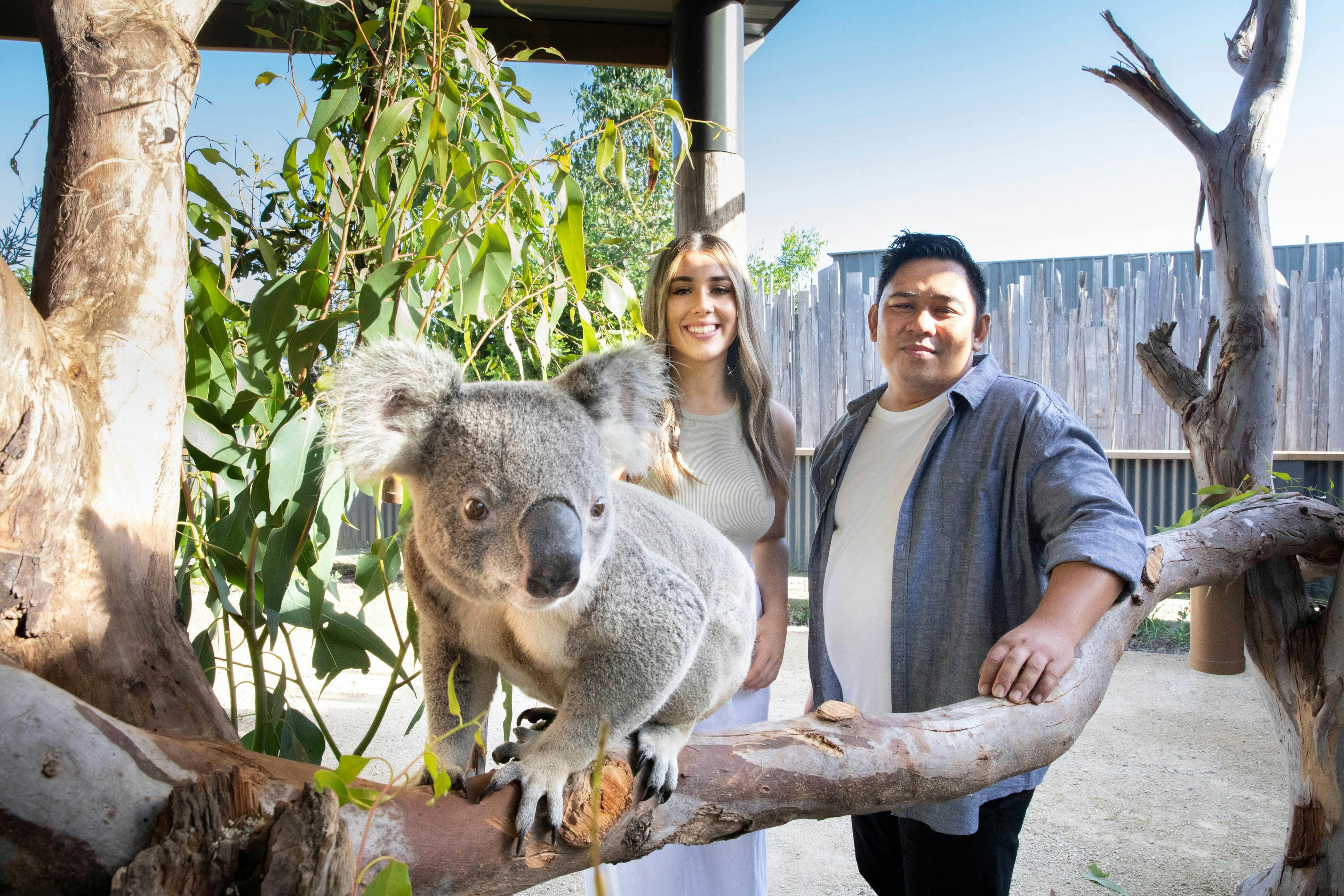 Holen Sie sich Ihr KOSTENLOSES Digitalfoto von Ihnen aus nächster Nähe mit einem Koala