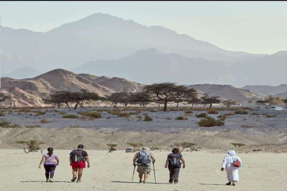 Excursion dans le désert de Wady El-Gemal