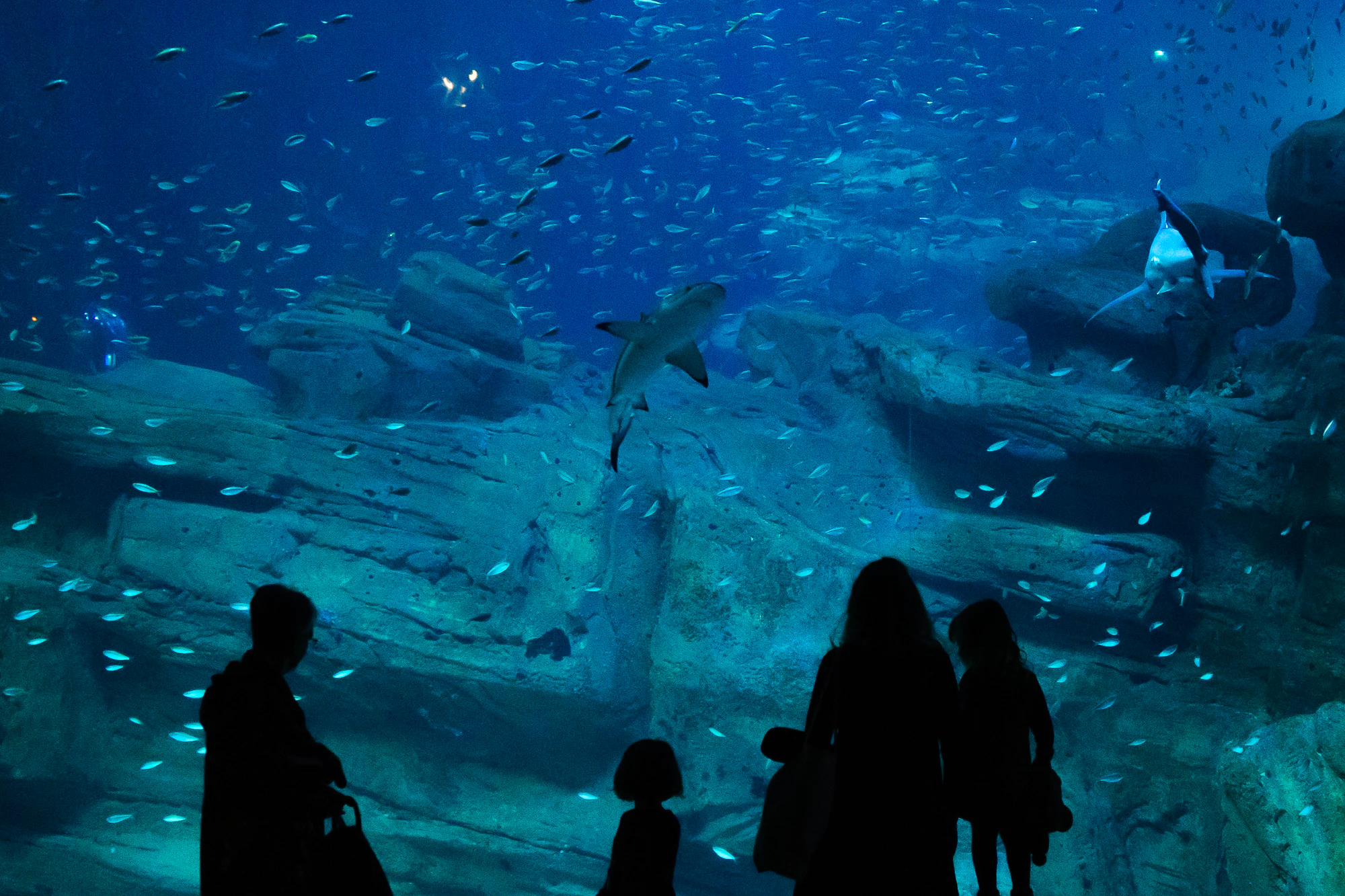 Aquarium de Paris