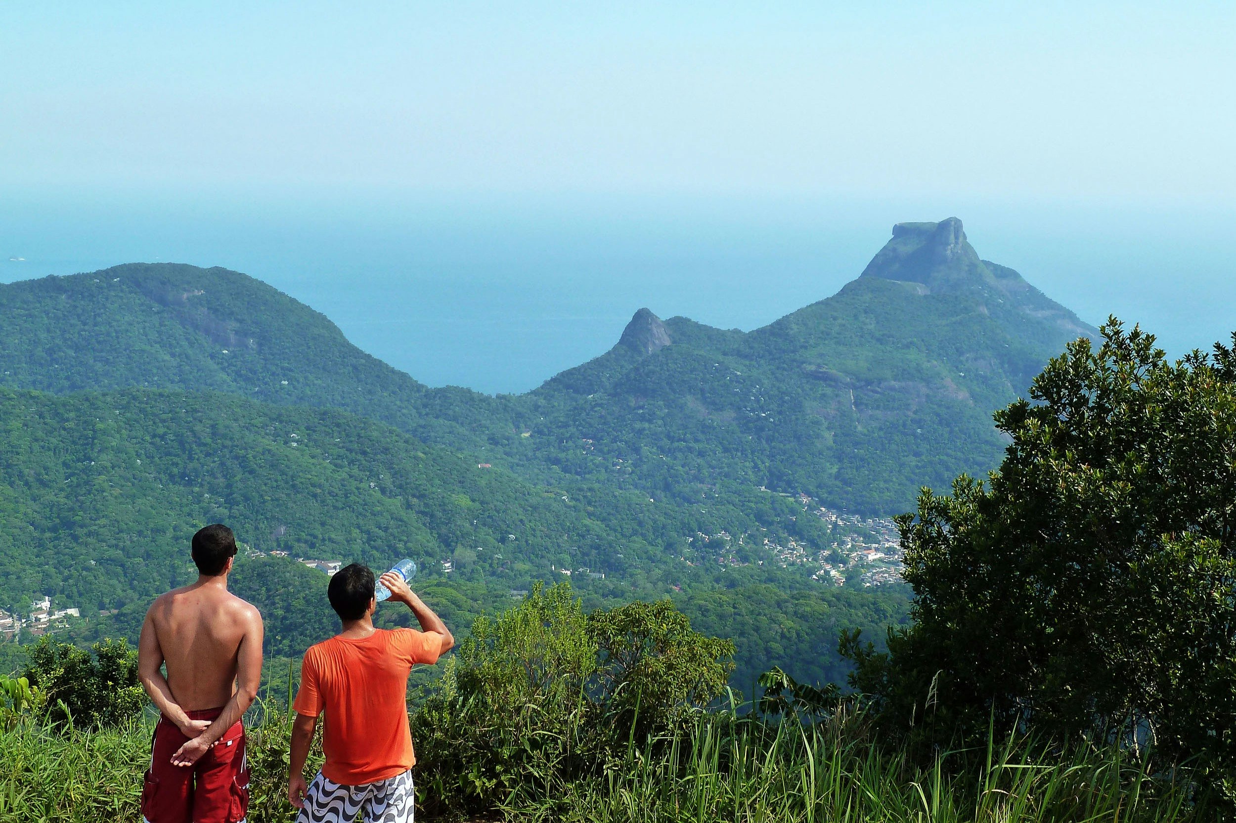 Tijuca Peak: Guided Hiking Tour + Hotel Transfer