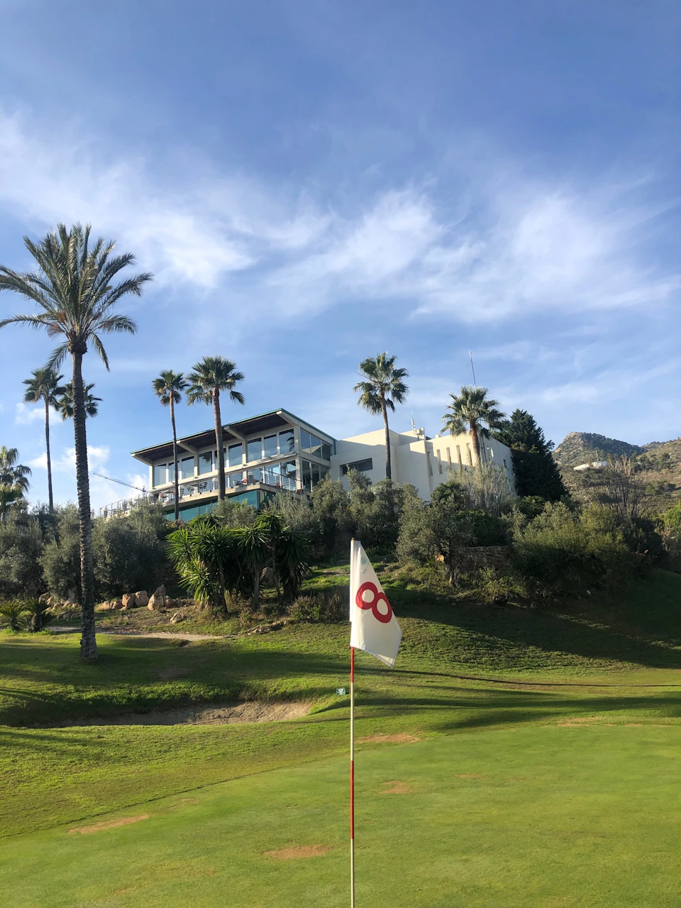 A building with large windows atop a grassy hill surrounded by palm trees, with a golf flag in the foreground.