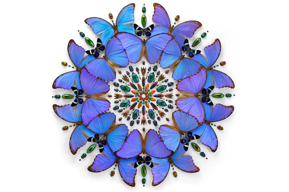 A circular arrangement of bright blue butterflies and colorful beetles forming an intricate mandala-like pattern.