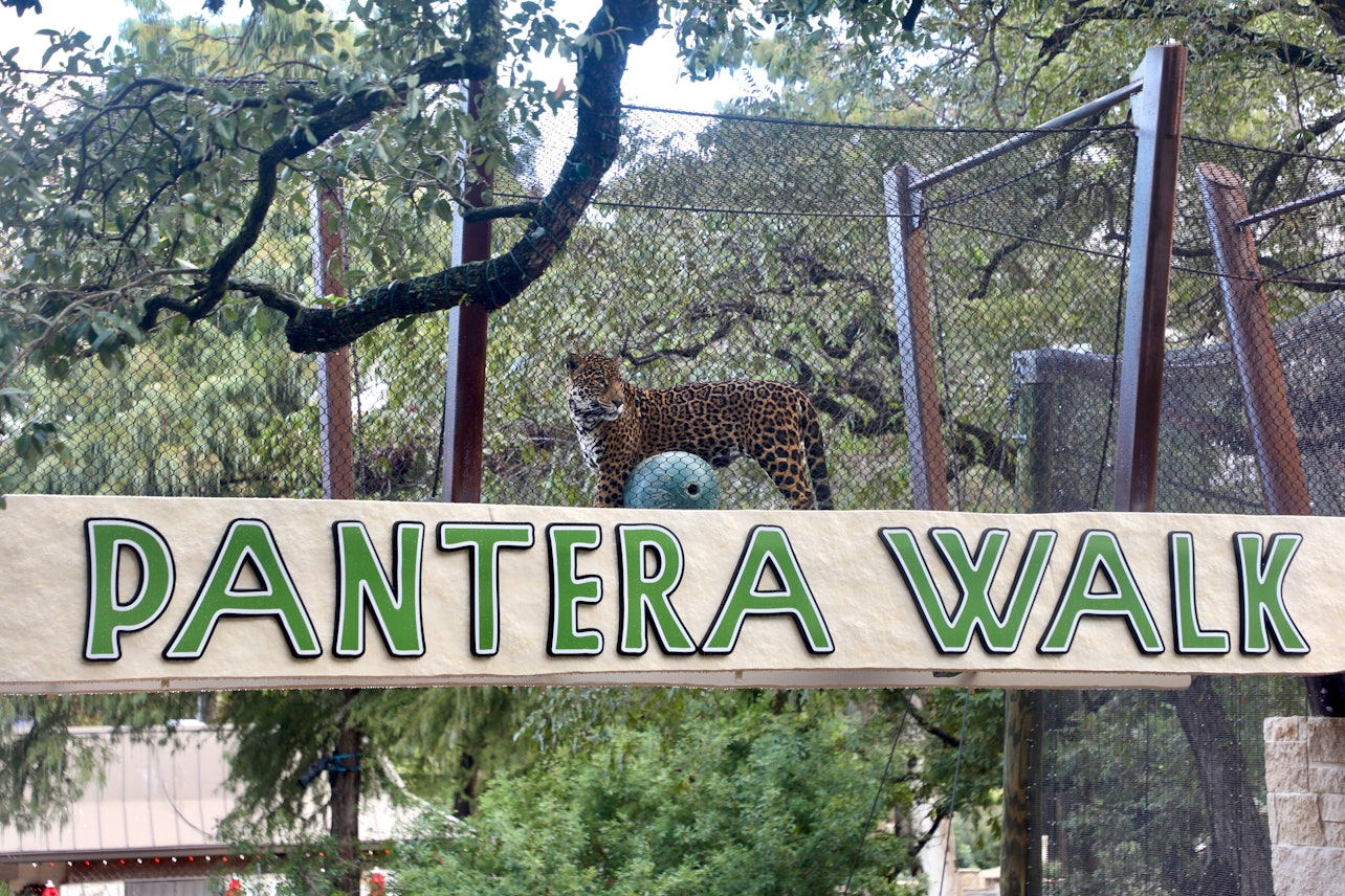 San Antonio Zoo Flexible Any-Day Entry Ticket - Accommodations in San Antonio