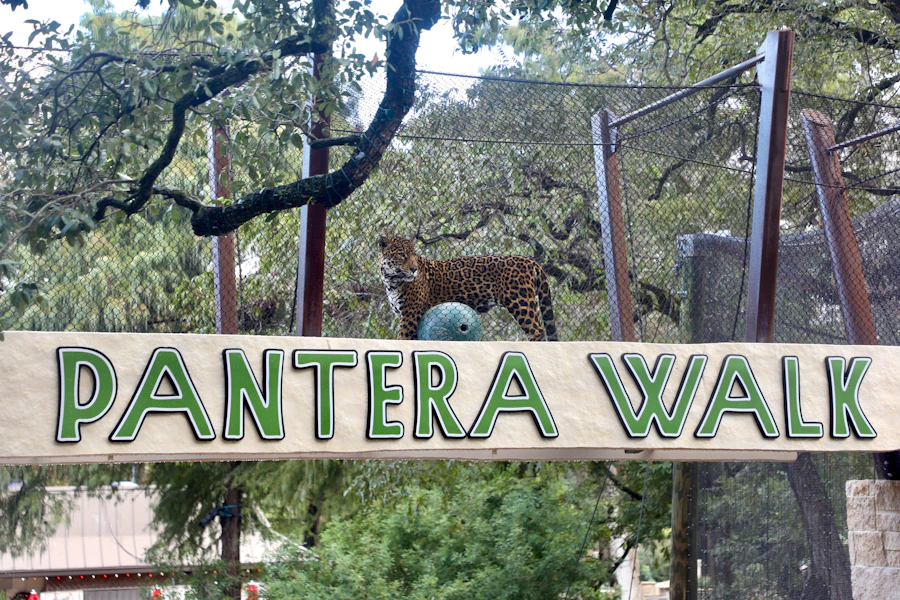 San Antonio Zoo Admission Tickets