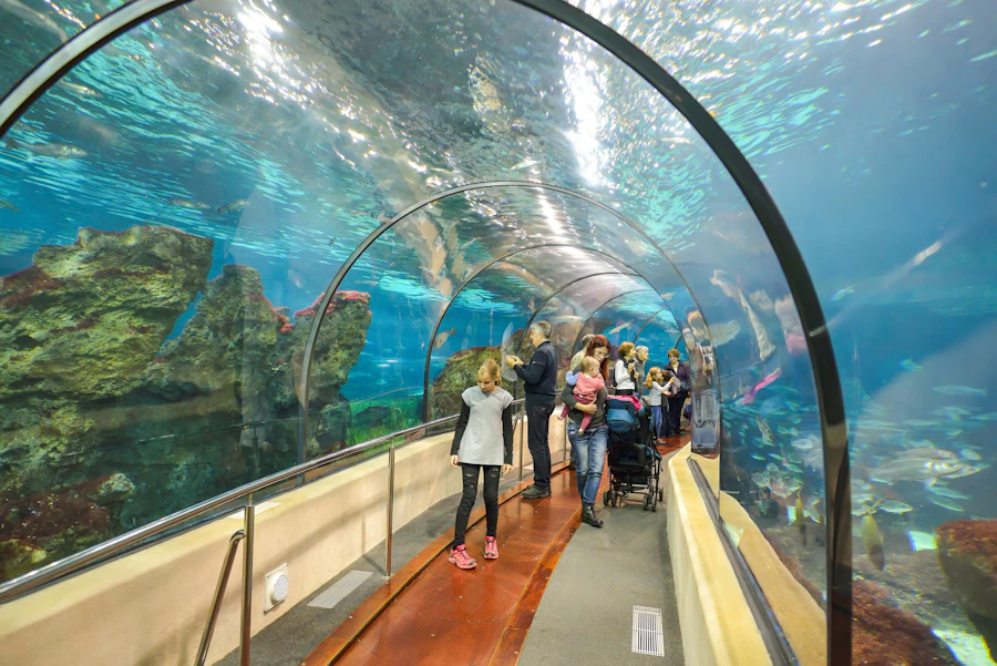 Barcelona Aquarium underwater tunnel