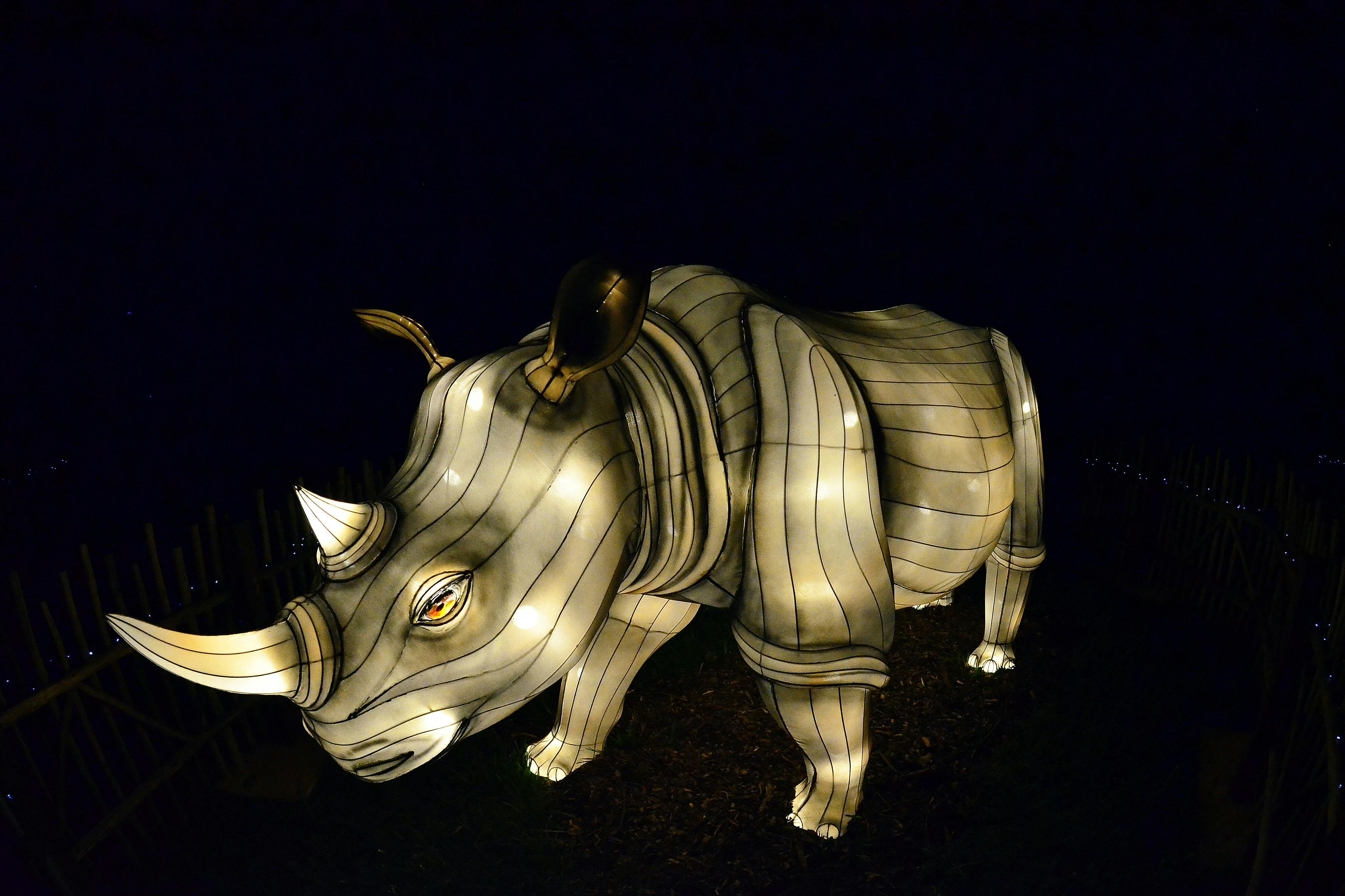 マイアミ動物園の灯り