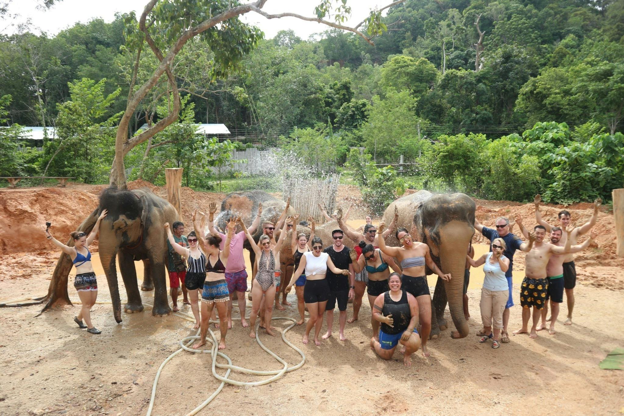 숲을 배경으로 두 마리 코끼리 근처에 서서 물을 뿌리고 환호하는 사람들.