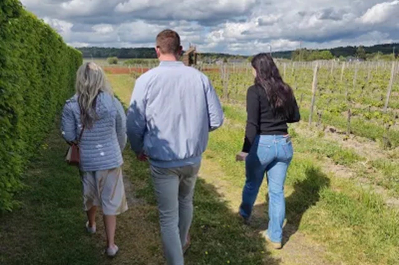 Vale do Loire: Visita guiada aos vinhedos de Vouvray de Tours + degustação - Photo 6