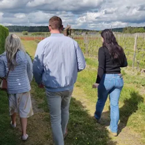Vale do Loire: Visita guiada aos vinhedos de Vouvray de Tours + degustação - Photo 6