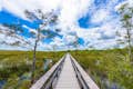 Parque Nacional Everglades