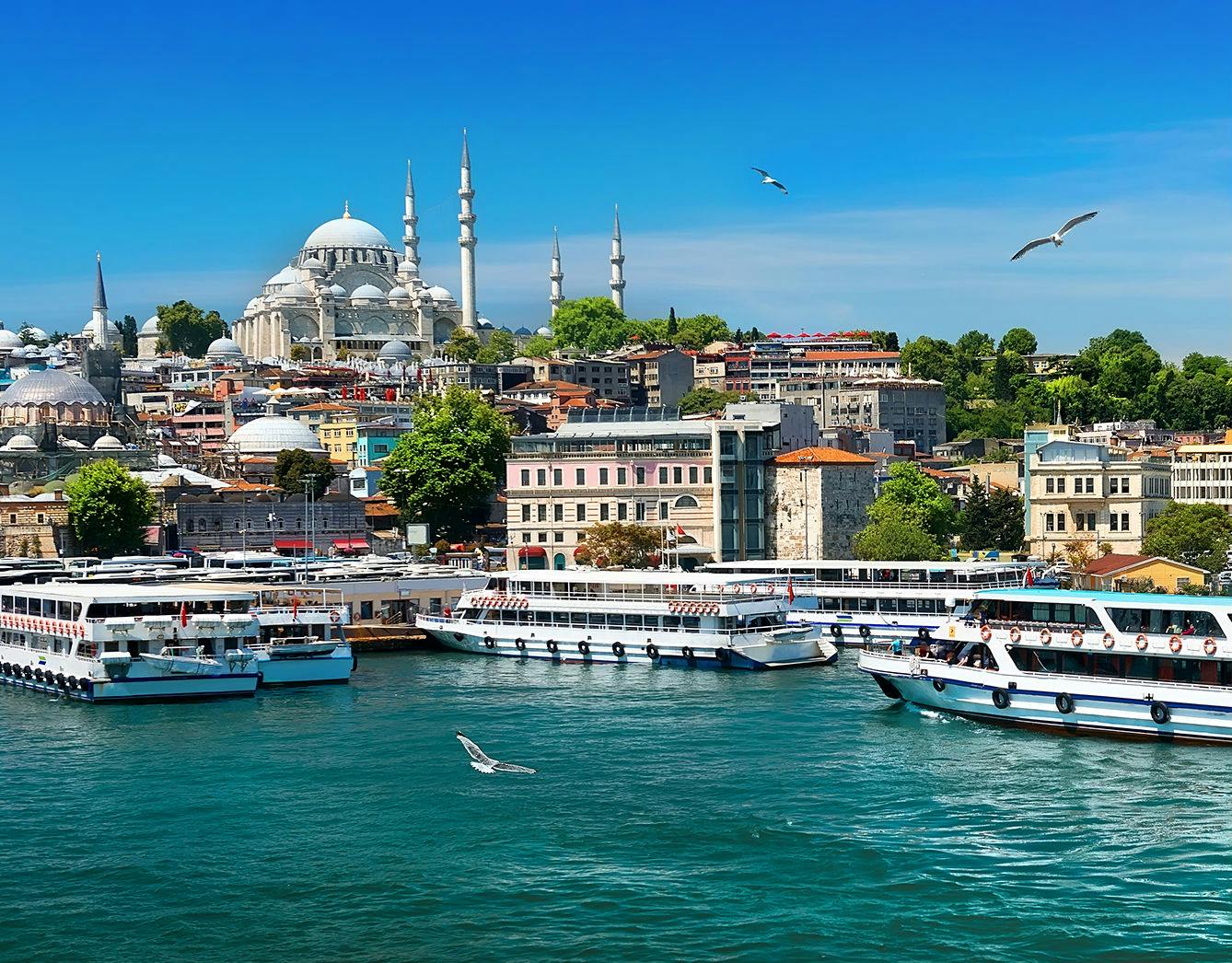 Bosphorus Cruise 1.5 Hours