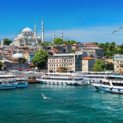 Bosphorus Sightseeing Cruise with Audio App