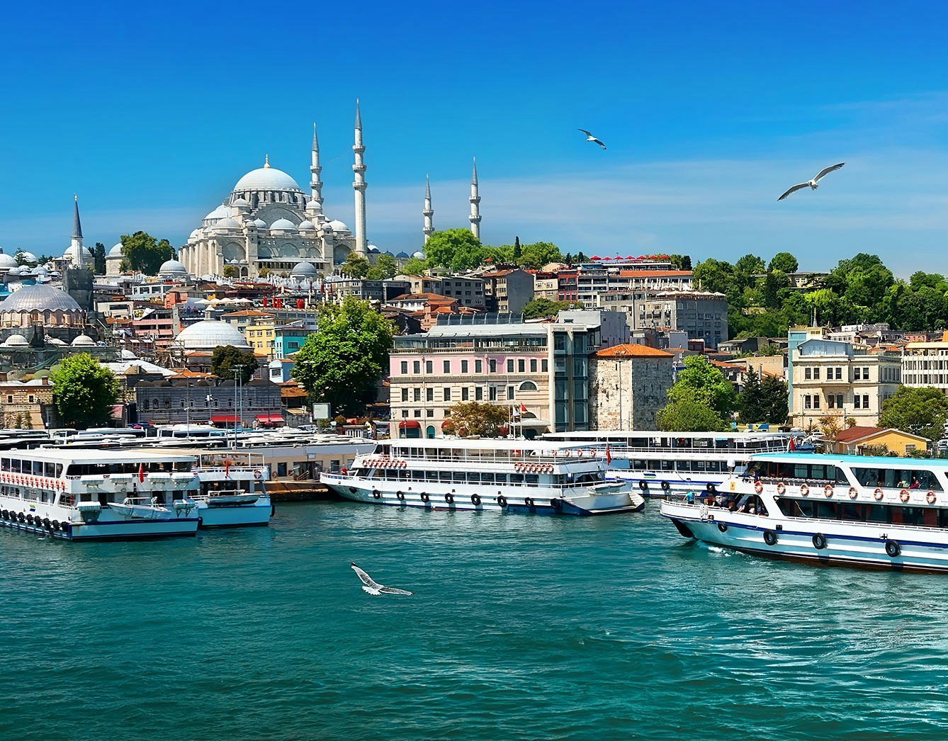 Bosphorus Cruise 1.5 Hours | Tiqets
