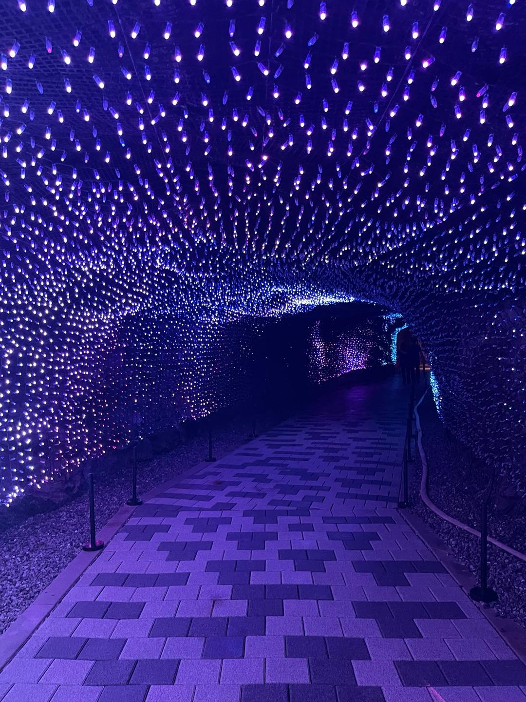 Ścieżka pod łukiem pokryta wiszącymi fioletowymi światłami, tworząc efekt oświetlonego tunelu.