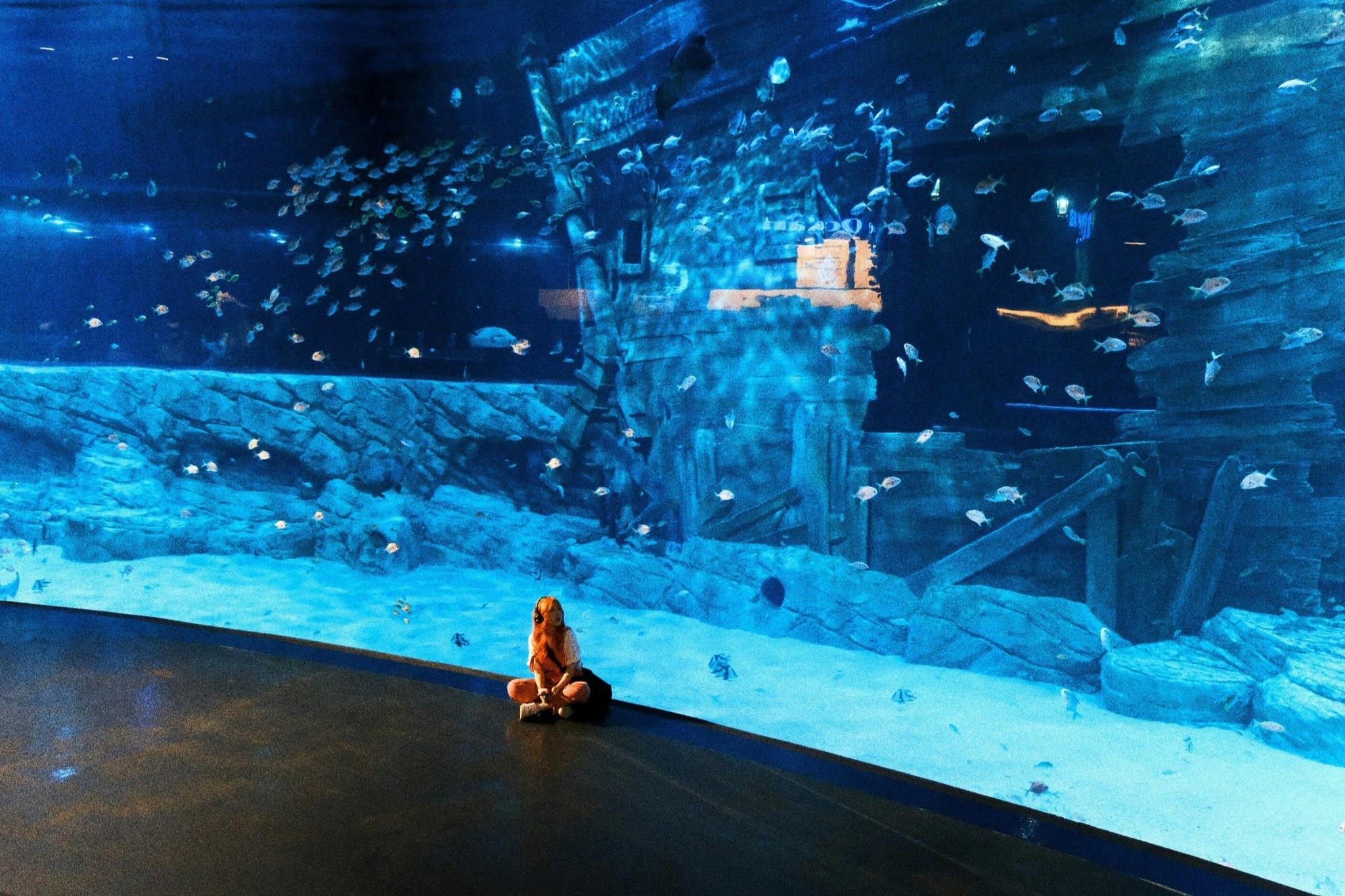 一个人坐在一个大型水族馆前面的地板上，一艘沉船和许多小鱼在水中可见。