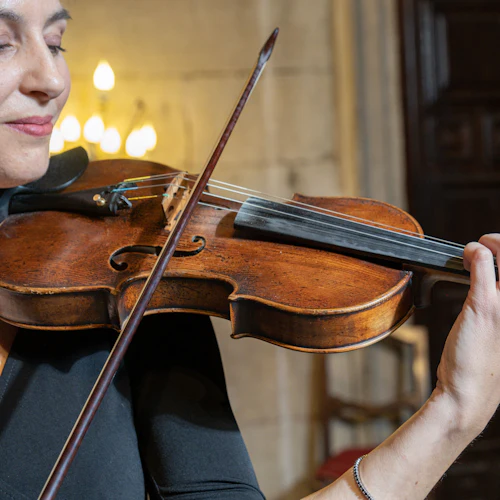 Praça de São Marcos: Concerto de ópera do Collegium Ducale - Photo 2