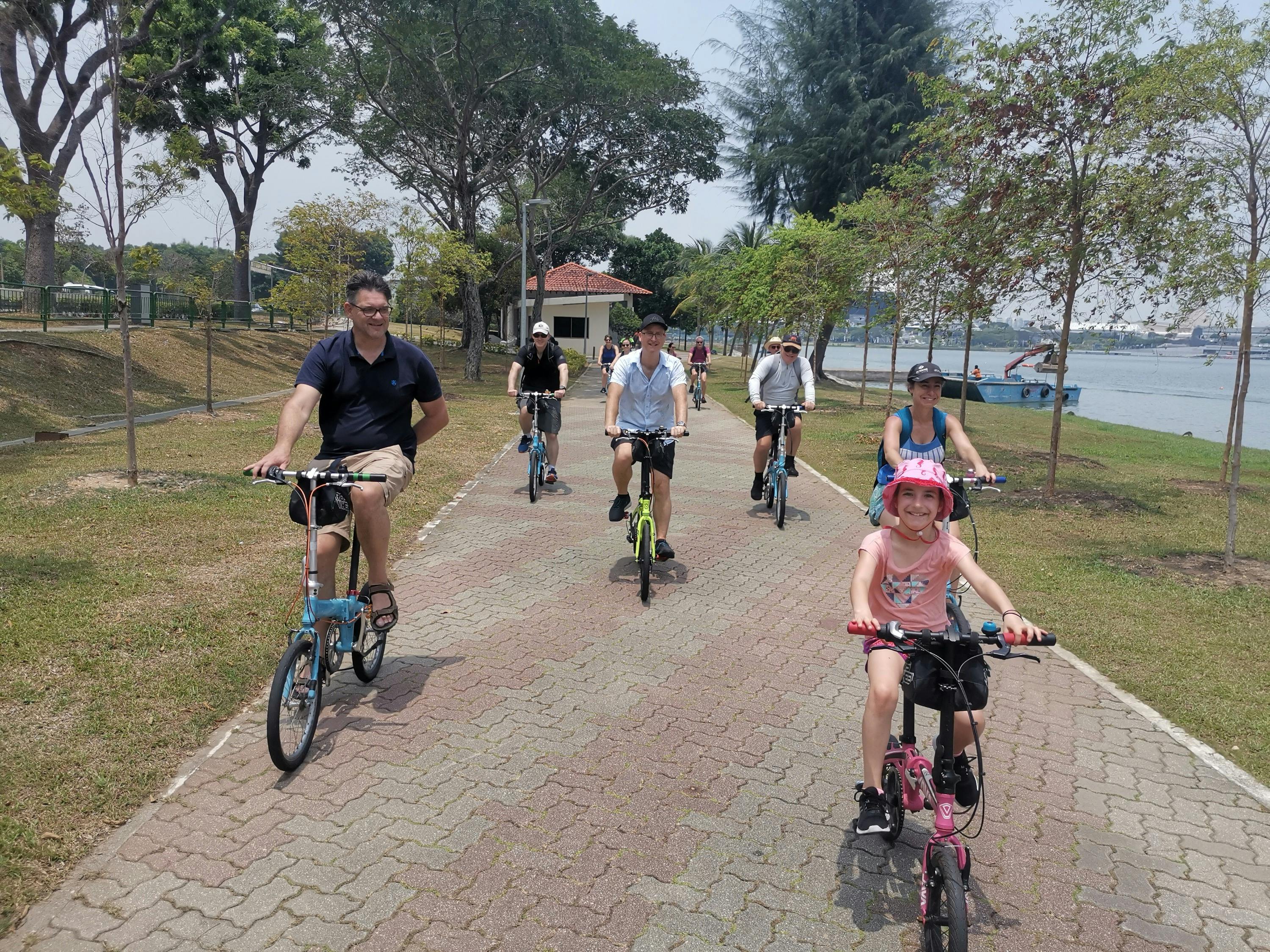 Singapore: Historical Lion City Bike Tour