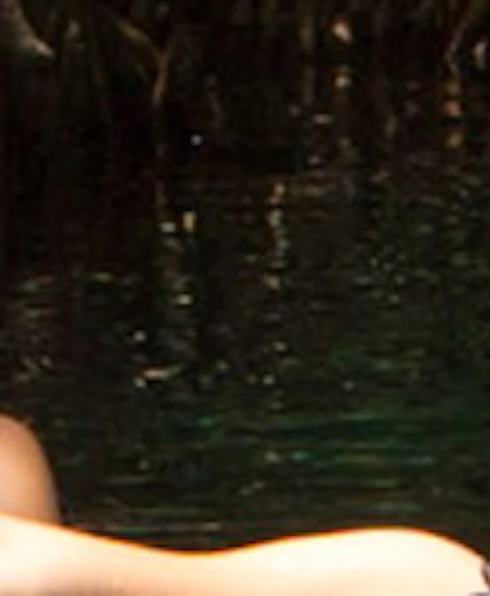 Four people floating on clear inner tubes in a still water stream surrounded by dense, leafy mangrove trees.
