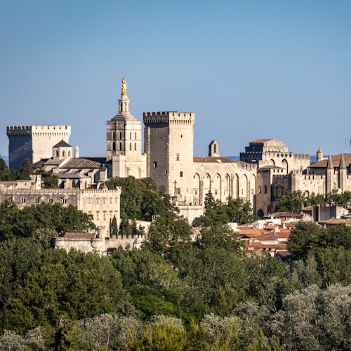 Palace of the Popes & Pont d’Avignon: Entry Ticket