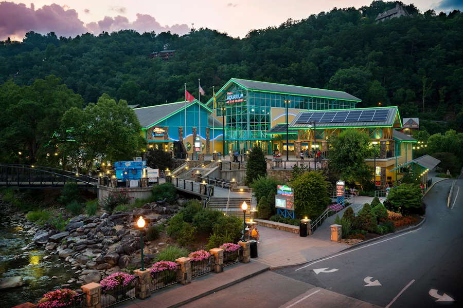 Gatlinburg Ripley's Aquarium of the Smokies Tickets