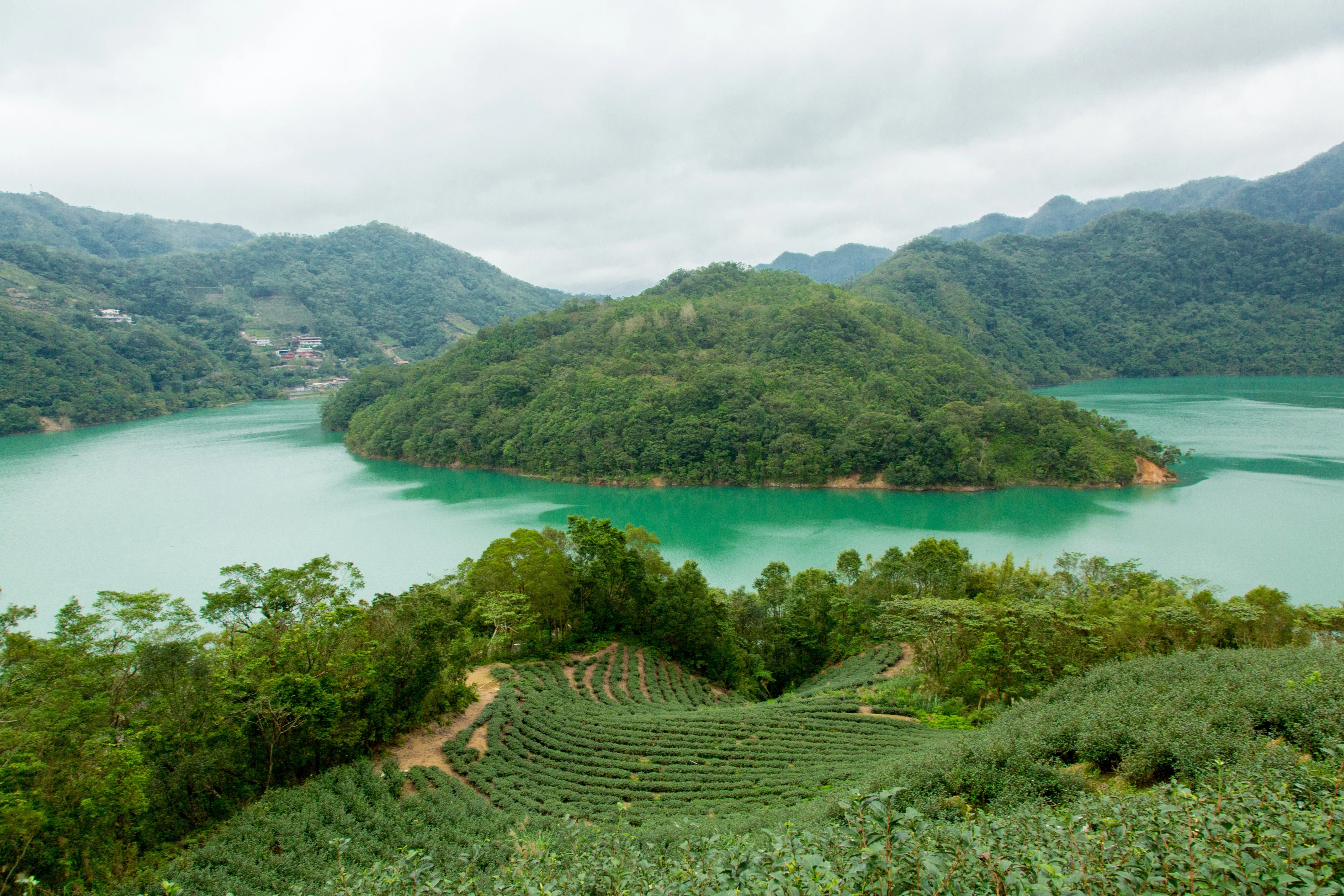 Thousand Island Lake & Pinglin Tea Plantation: Afternoon Tour from Taipei