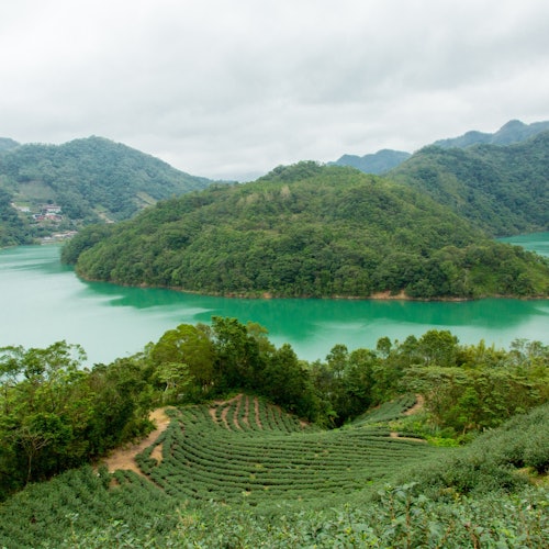 Lago de las Mil Islas y Plantación de Té Pinglin desde Taipei