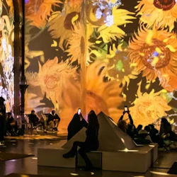 Människor som sitter och står i ett stort rum med projicerade bilder av solrosor som täcker väggarna. Vissa tar bilder.