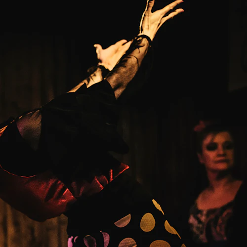 Taberna Flamenca El Cortijo: Flamenco Show + Optional Tapas - Photo 6