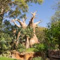 Recreation of a Baobab tree, giving access to the island of Madagascar where the lemurs live.