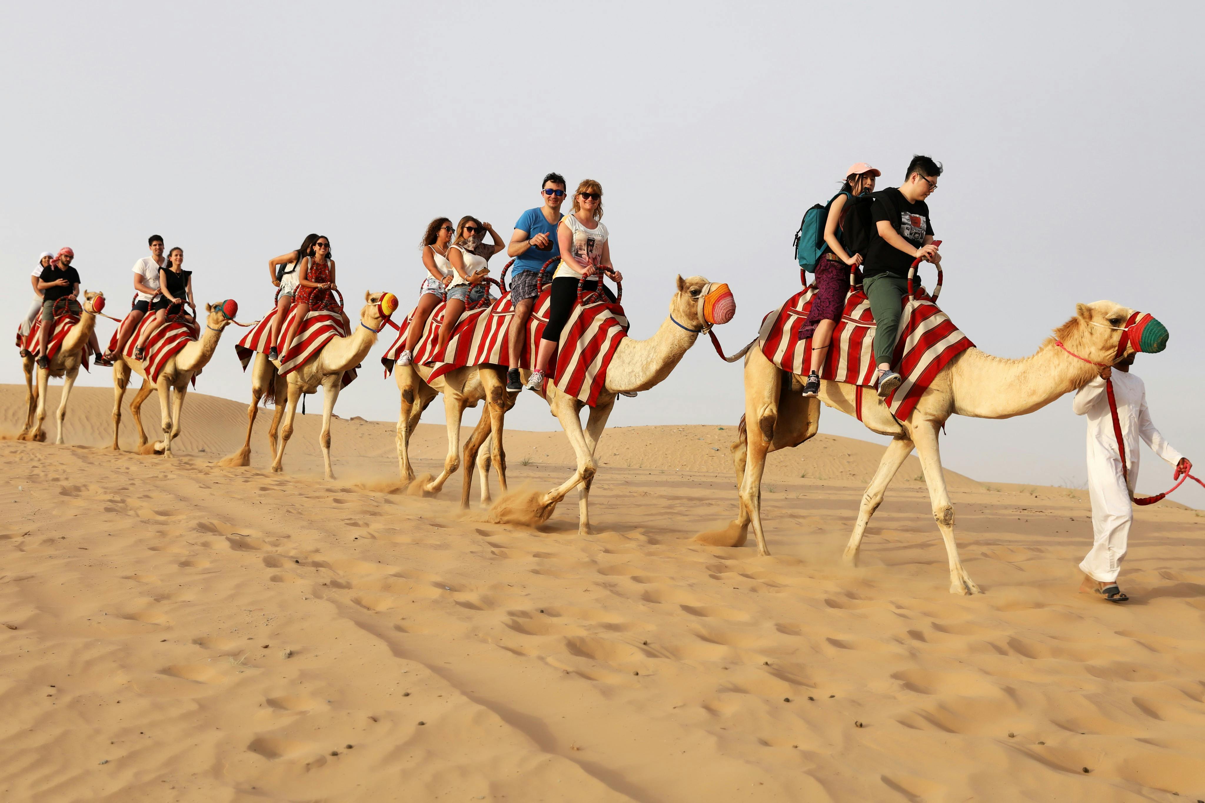 Promenade à dos de chameau