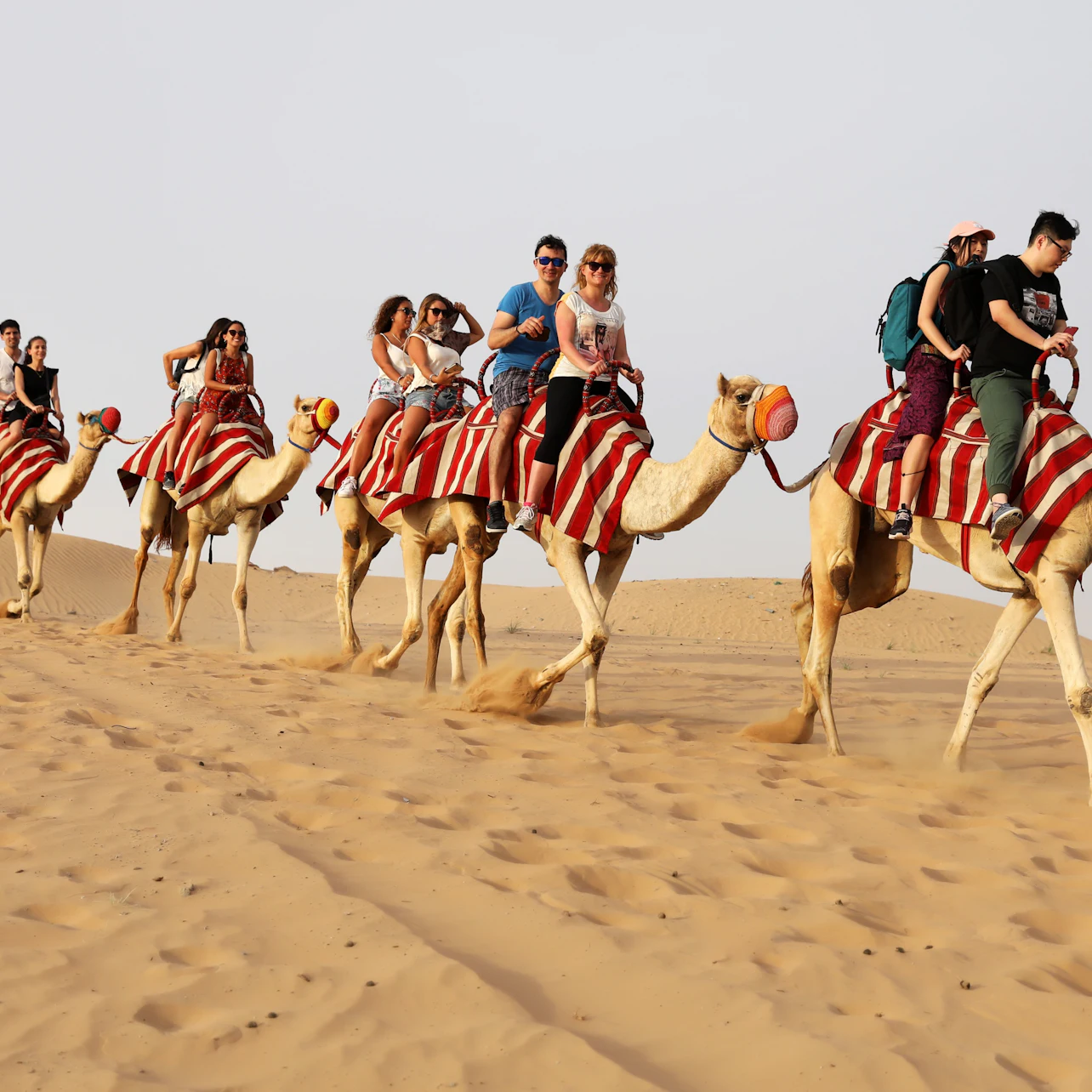 Desert Evening Safari + BBQ Dinner 5