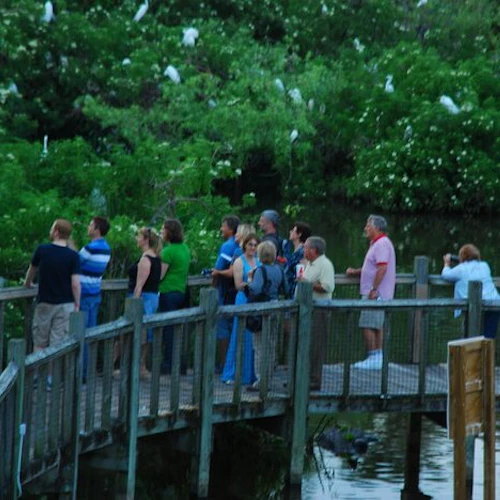 Gatorland Orlando: Gator Night Shine - Photo 4