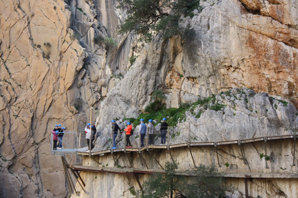 Guided tour