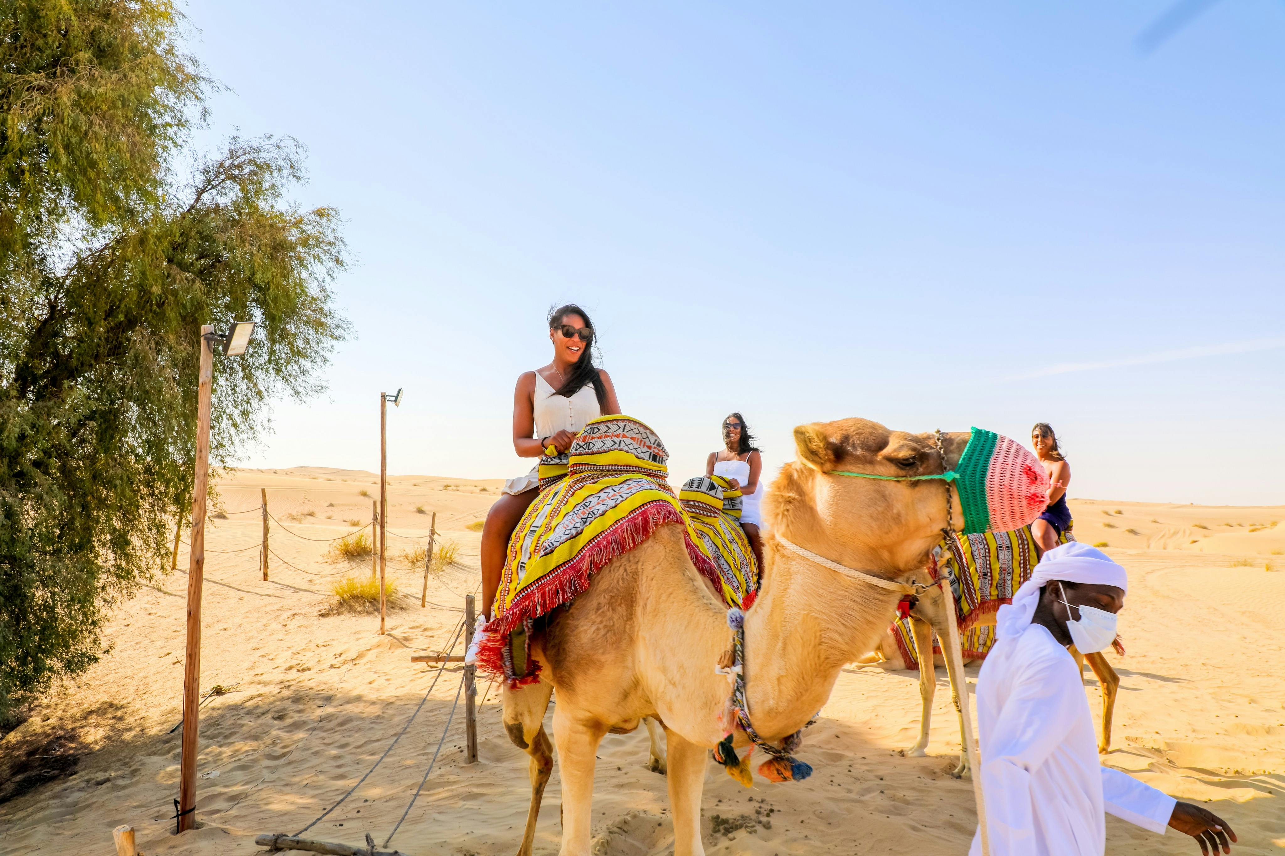 Dubai Safari: Al Marmoom Camp + Bedouin Dinner & Shows