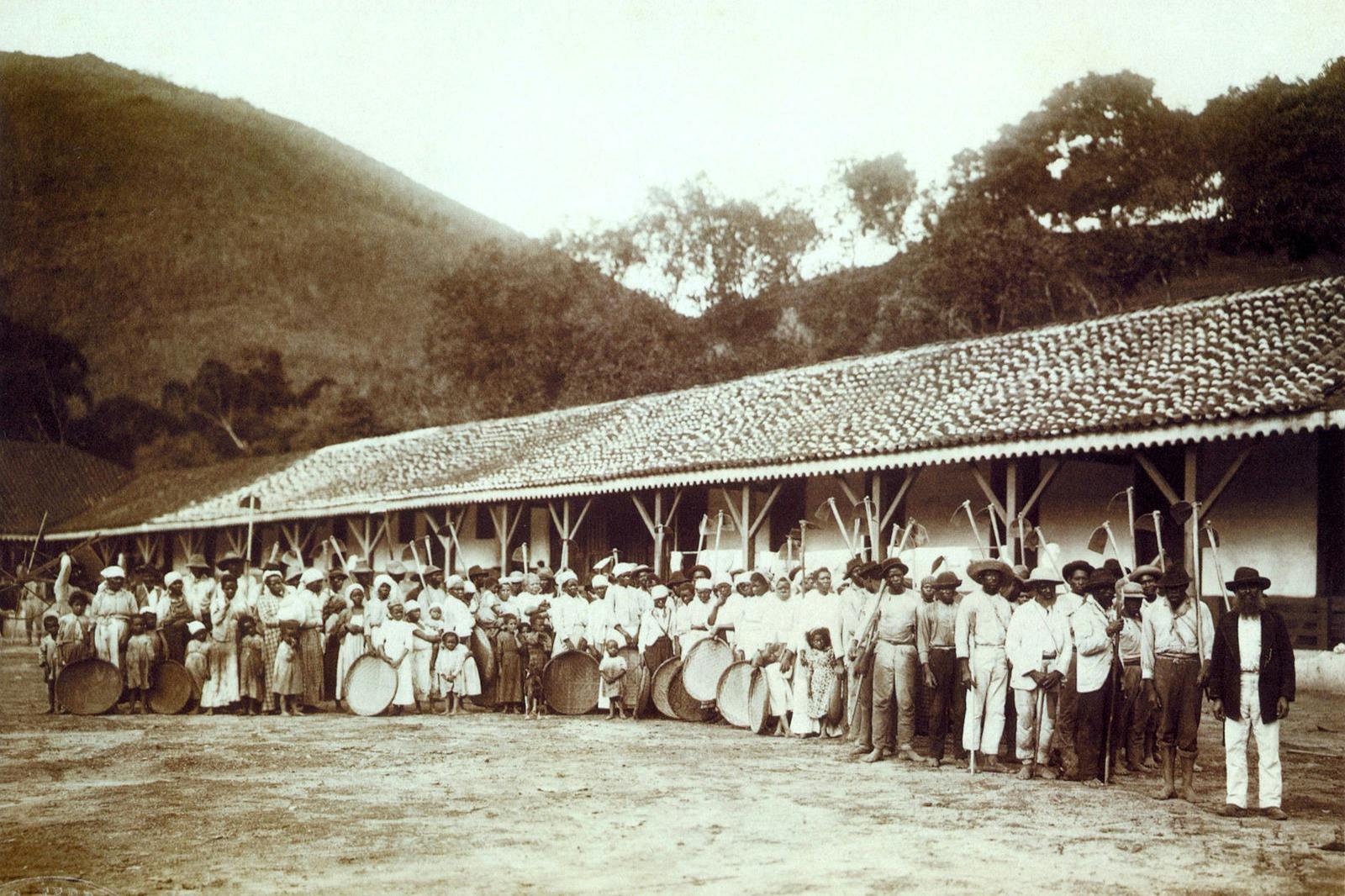 Group of enslaved Africans in a Brazilian coffee plantation.