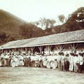 Gruppe af slaver fra Afrika på en brasiliansk kaffeplantage.